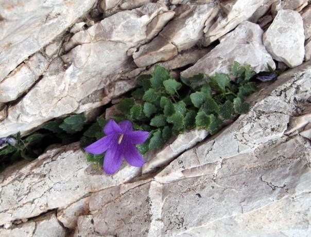 Не бойтесь трещин в своей жизни Не бойтесь трещин в своей жизни