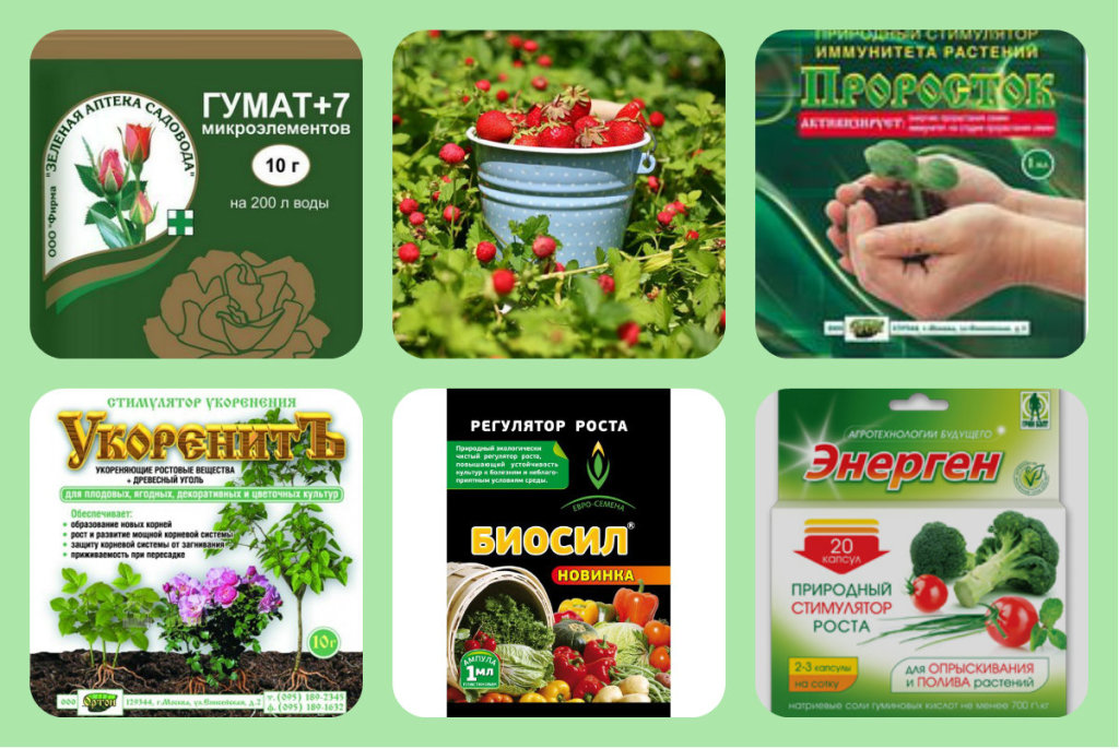 ПОВТОРЯЕМ ЛЮБИМУЮ ЗАКУПКУ! МНОГО НОВИНОК! ПОВТОРЯЕМ ЛЮБИМУЮ ЗАКУПКУ! МНОГО НОВИНОК!