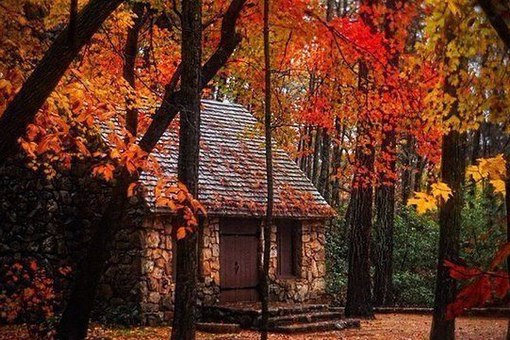 Настроение первого дня осени ) Настроение первого дня осени )