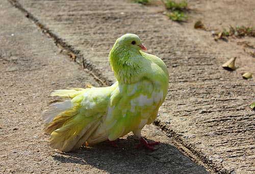 Самый топовый анекдот во Франции на сейчас.. Самый топовый анекдот во Франции на сейчас..