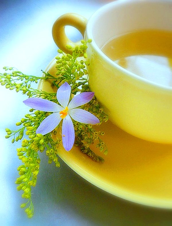 Сбор заказов. Здоровая, вкусная еда для красоты и стройности. Каши, чай, кофе, коктейли, мюсли, батончики, леденцы 4/15 Сбор заказов. Здоровая, вкусная еда для красоты и стройности. Каши, чай, кофе, коктейли, мюсли, батончики, леденцы 4/15