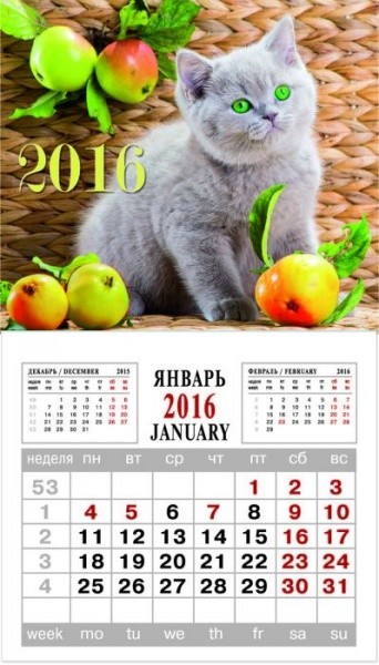 Сбор заказов. Развивающие книжки, раскраски, аппликации, карандаши, цв.бумага, блокноты, планеры, ежедневники, рюкзаки, пеналы и много всего еще. Низкие цены, отличное качество Сбор заказов. Развивающие книжки, раскраски, аппликации, карандаши, цв.бумага, блокноты, планеры, ежедневники, рюкзаки, пеналы и много всего еще. Низкие цены, отличное качество