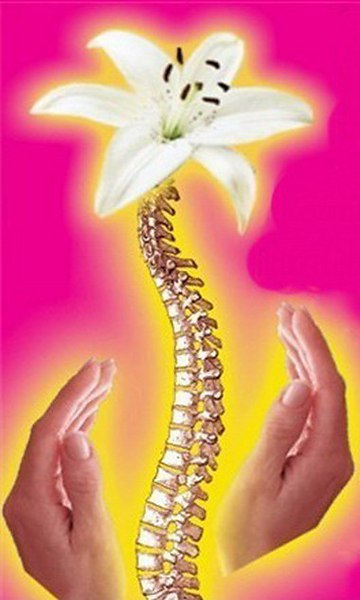 Твой позвоночник-твоё здоровье Твой позвоночник-твоё здоровье