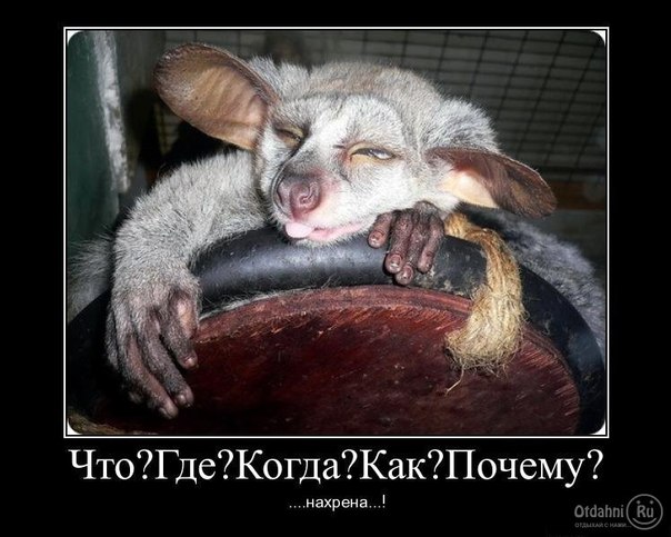 Почему люди ничего не помнят после выпивки? Почему люди ничего не помнят после выпивки?