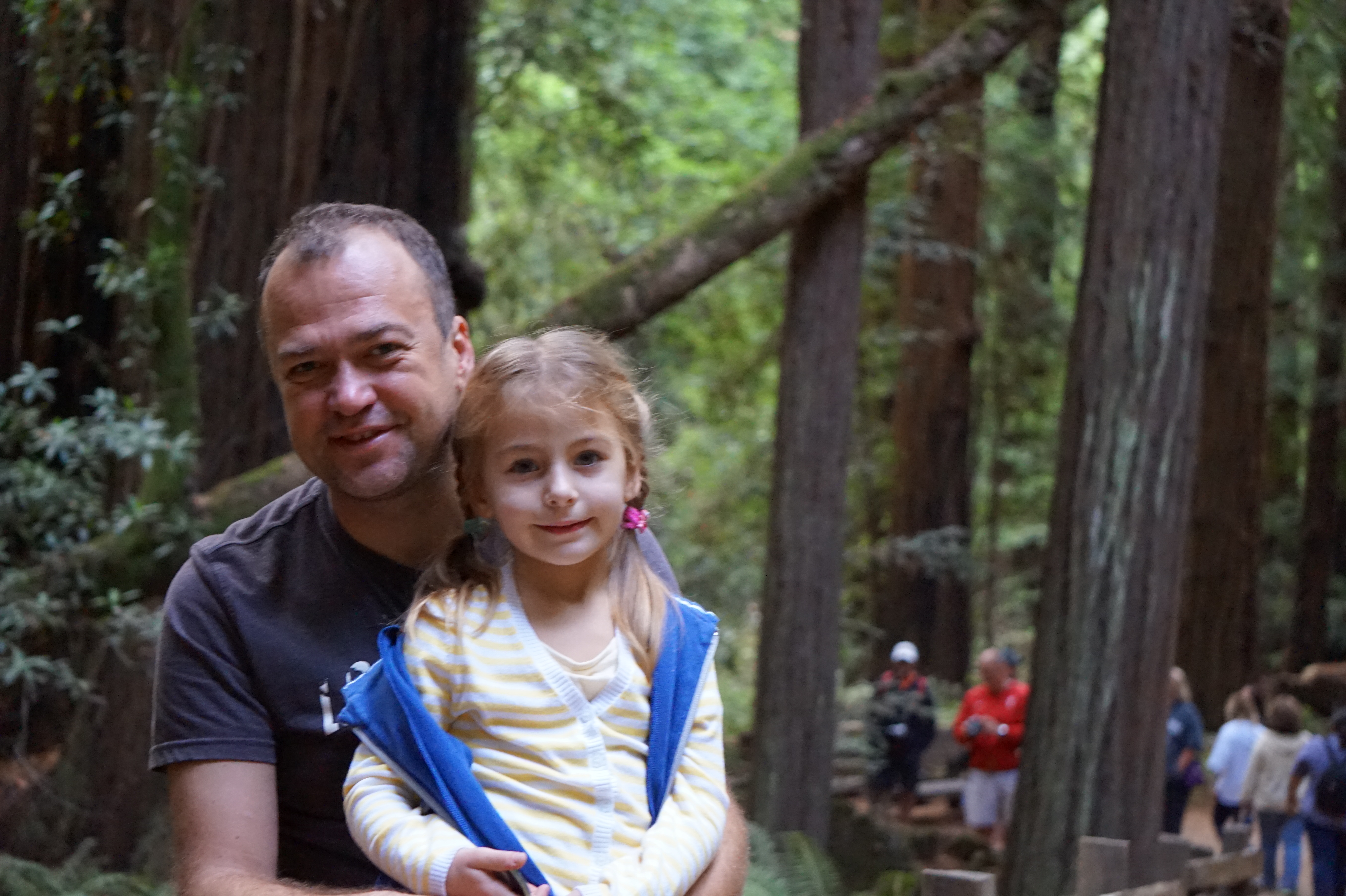 Переезд в Сан-Франциско (пост 6ой). Мьюир Вуд. Переезд в Сан-Франциско (пост 6ой). Мьюир Вуд.