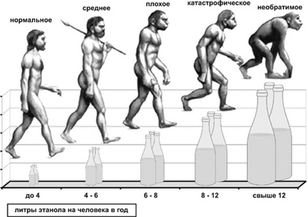 Борьба против алкоголизации населения Борьба против алкоголизации населения