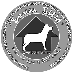 Животные в добрые руки Животные в добрые руки