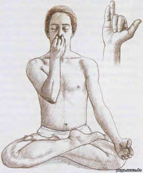 Доброе утро, друзья Доброе утро, друзья