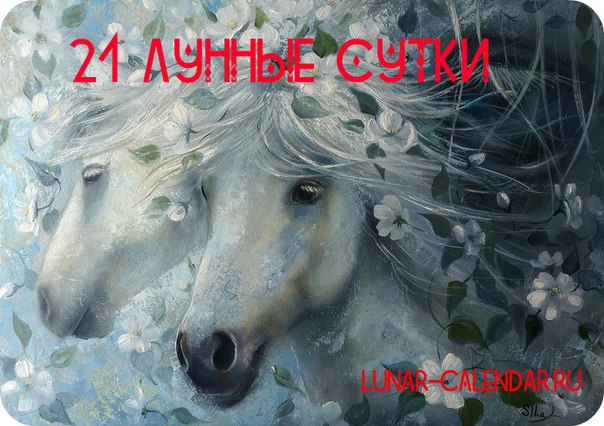 Лунный календарь Двадцать первые лунные сутки Лунный календарь Двадцать первые лунные сутки