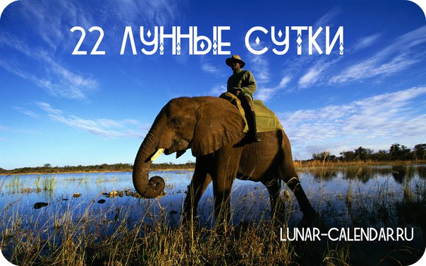 Лунный календарь Двадцать вторые лунные сутки. Последняя четверть Лунный календарь Двадцать вторые лунные сутки. Последняя четверть