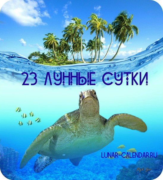 Двадцать третьи лунные сутки Двадцать третьи лунные сутки