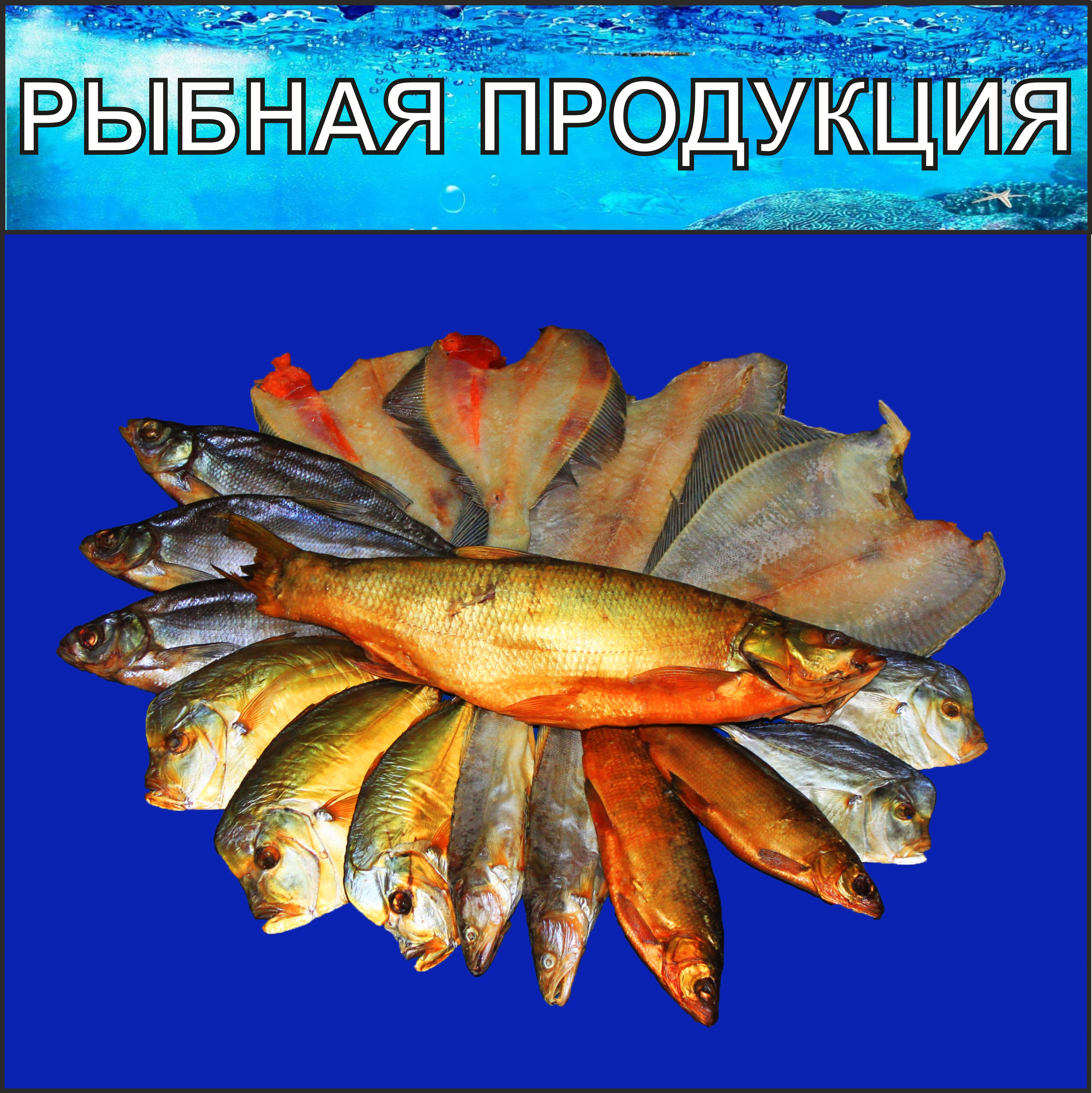 Компания СКС-НН предлагает Вам широкий ассортимент рыбной продукции. Компания СКС-НН предлагает Вам широкий ассортимент рыбной продукции.