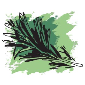 Предновогодний сбор МиКо - 9. Экспресс-сбор Предновогодний сбор МиКо - 9. Экспресс-сбор