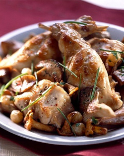 Мясо кролика (крольчатина), состав, польза крольчатины. Мясо кролика (крольчатина), состав, польза крольчатины.