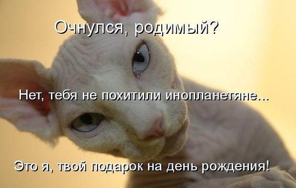 так вот и бывает так вот и бывает