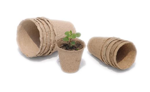 Вечером открою тему по распродаже всего для РАССАДЫ!!!! Вечером открою тему по распродаже всего для РАССАДЫ!!!!