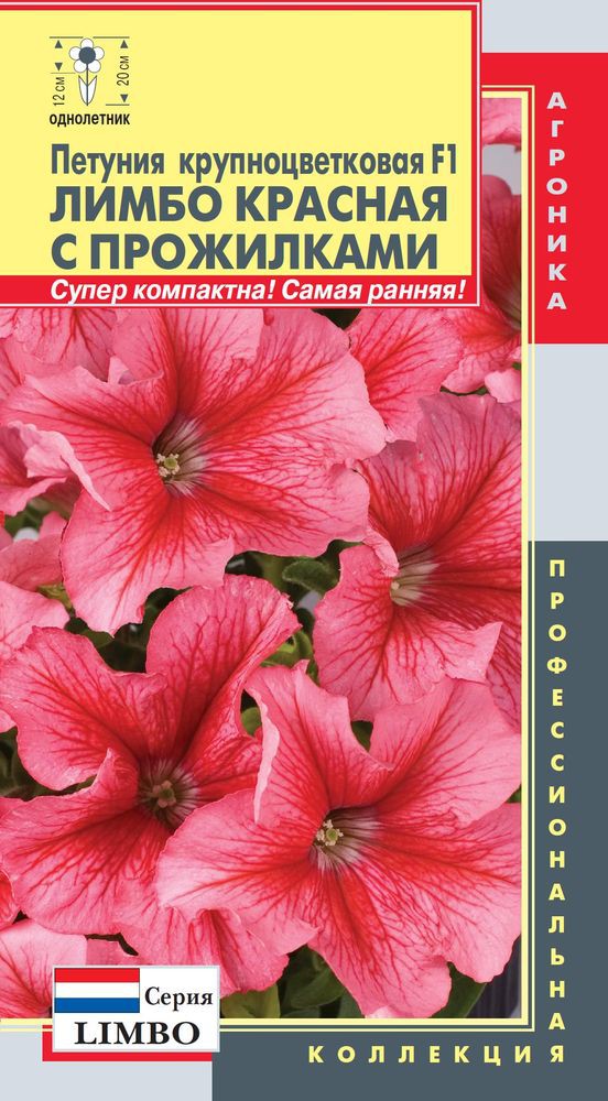 Сбор заказов. Плазменные семена. Выкуп-2. Экспресс-сбор. Стоп 20 января. Сбор заказов. Плазменные семена. Выкуп-2. Экспресс-сбор. Стоп 20 января.