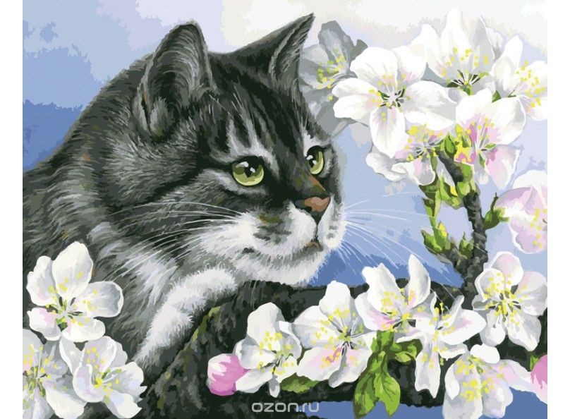 Белоснежка, наборы для творчества. Вышивка, раскраски по номерам на белом и цветном холсте, мозаика, скрапбукинг, багеты для картин по номерам 1/16 Белоснежка, наборы для творчества. Вышивка, раскраски по номерам на белом и цветном холсте, мозаика, скрапбукинг, багеты для картин по номерам 1/16