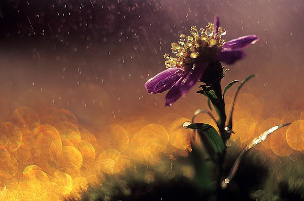 ПОЧЕМУ ТЫ ЖЛОБ, ЕСЛИ ТВОЯ ЖЕНЩИНА ПАШЕТ ПО 40+ ЧАСОВ В НЕДЕЛЮ. ПОЧЕМУ ТЫ ЖЛОБ, ЕСЛИ ТВОЯ ЖЕНЩИНА ПАШЕТ ПО 40+ ЧАСОВ В НЕДЕЛЮ.