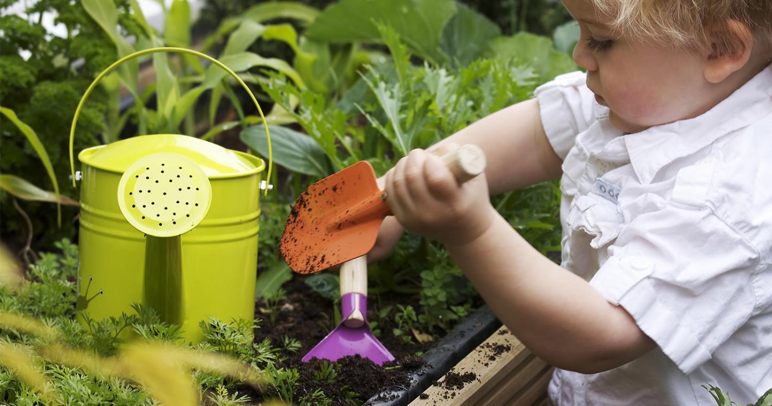 Семена цветов и овощных культур, газонные травы. А так же Удобная и эффективная лампа для подсветки растений. Сорта и гибриды для выращивания в сложных климатических условиях! Семена цветов и овощных культур, газонные травы. А так же Удобная и эффективная лампа для подсветки растений. Сорта и гибриды для выращивания в сложных климатических условиях!