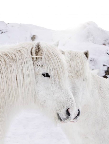 Лунный календарь Двадцать первые лунные сутки Лунный календарь Двадцать первые лунные сутки