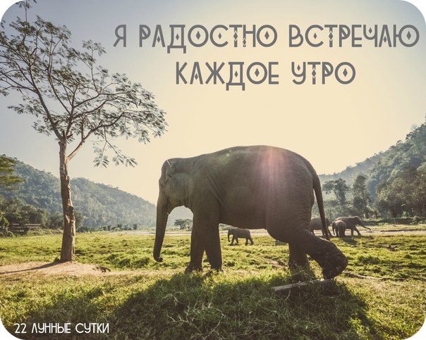 Лунный календарь 22 ЛУННЫЕ СУТКИ Лунный календарь 22 ЛУННЫЕ СУТКИ