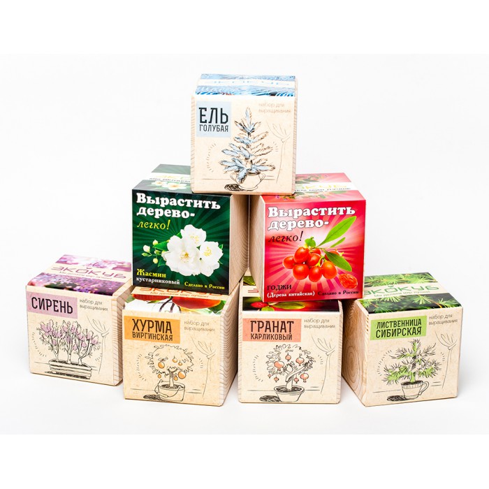 Живые подарки. Растущие карандаши. -2 Живые подарки. Растущие карандаши. -2