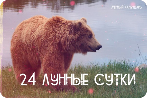 Лунный календарь Двадцать четвертые лунные сутки Лунный календарь Двадцать четвертые лунные сутки