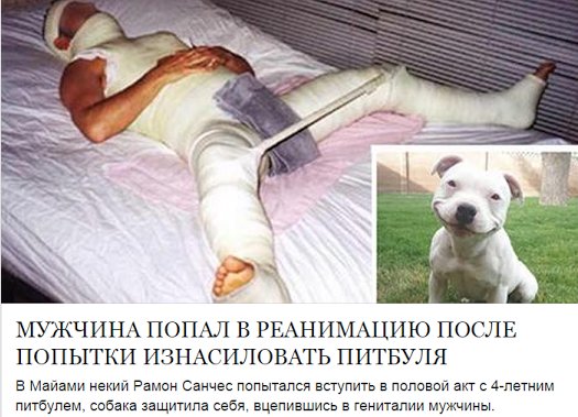 Умное Умное