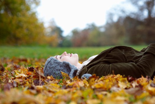 Цитата дня Цитата дня