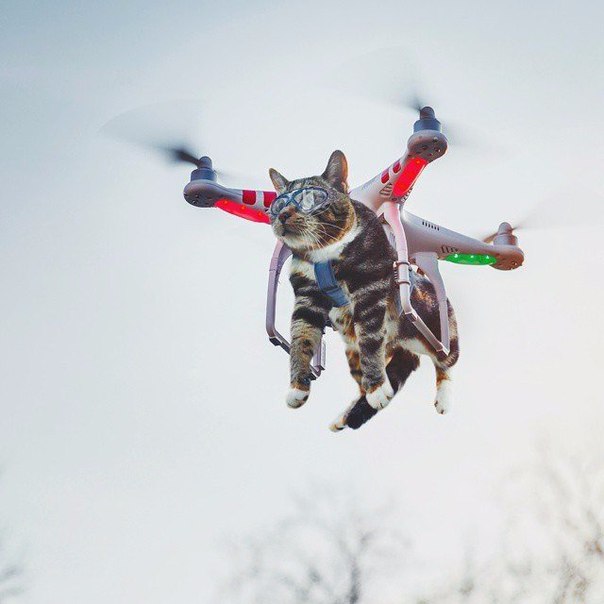 Котокоптер Котокоптер