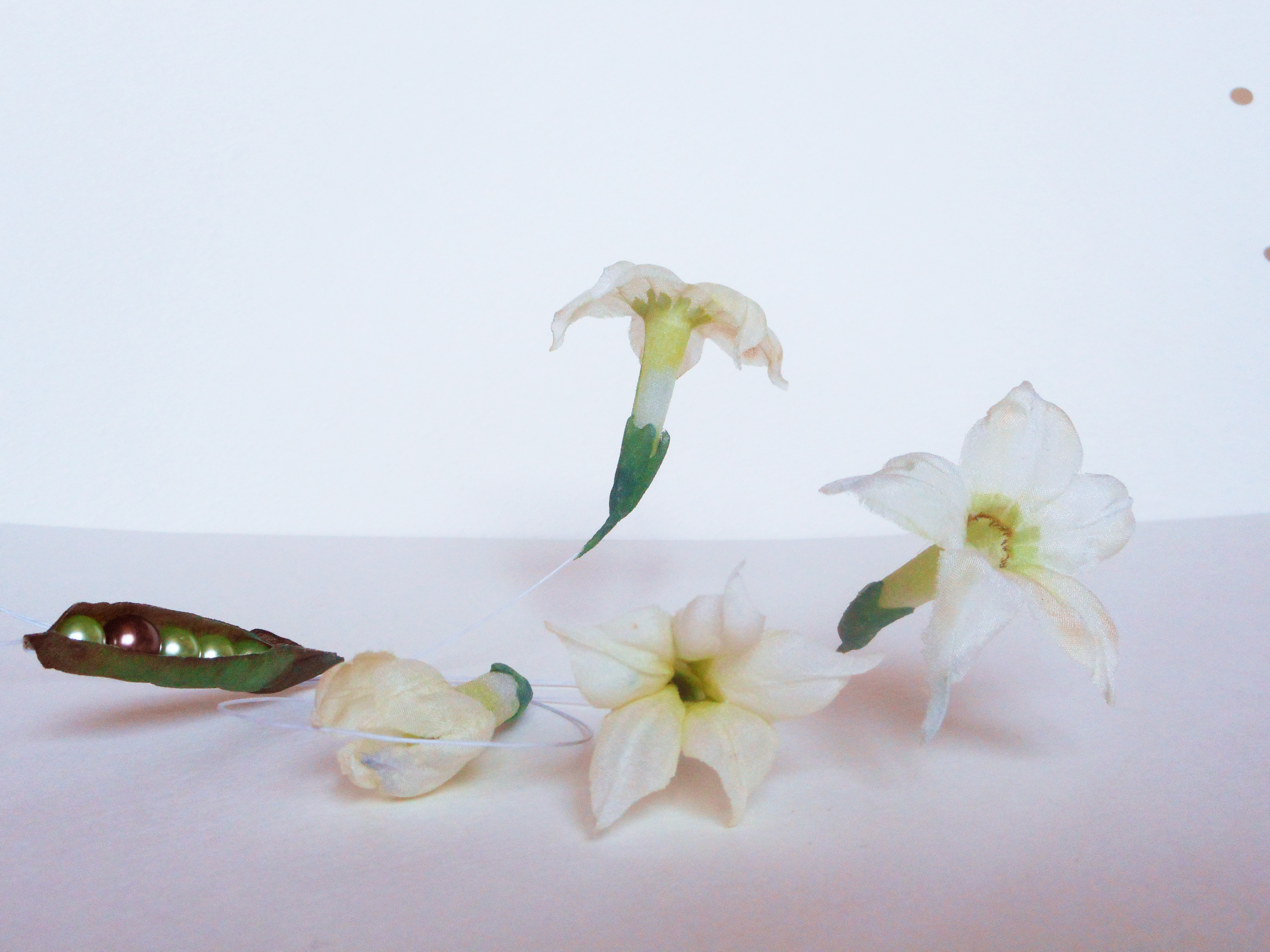 Душистый табак и горошек.. Душистый табак и горошек..