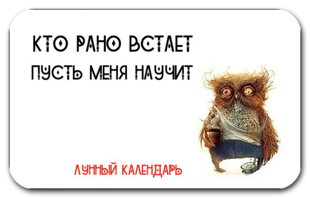 Как научиться рано вставать? Как научиться рано вставать?