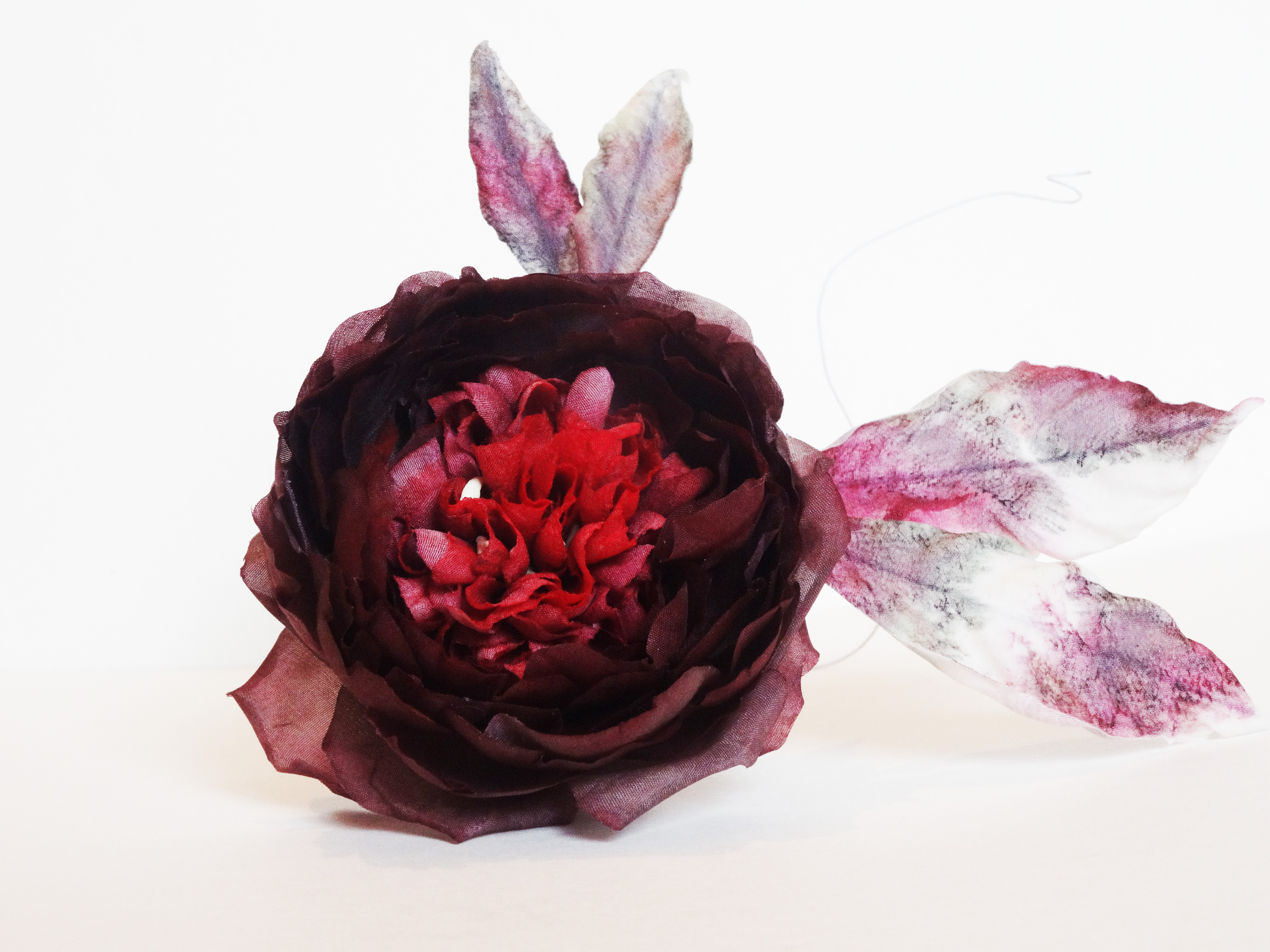 Английская роза Английская роза