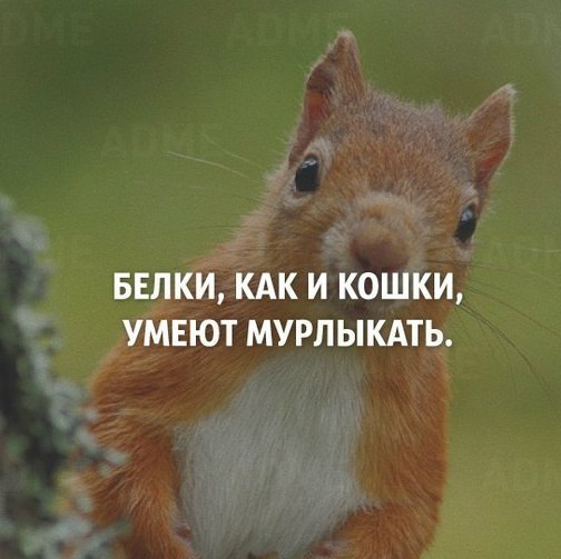 Интересное Интересное