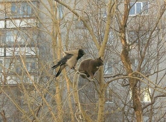 Хорошо сидим. Душевно. Хорошо сидим. Душевно.