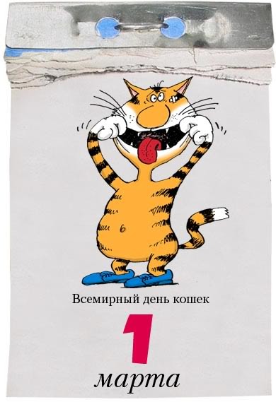 1 Марта - день кошек 1 Марта - день кошек