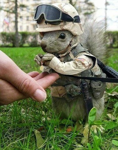 Маленький боец Маленький боец