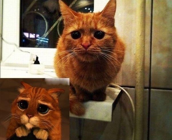 Он существует. Он существует.