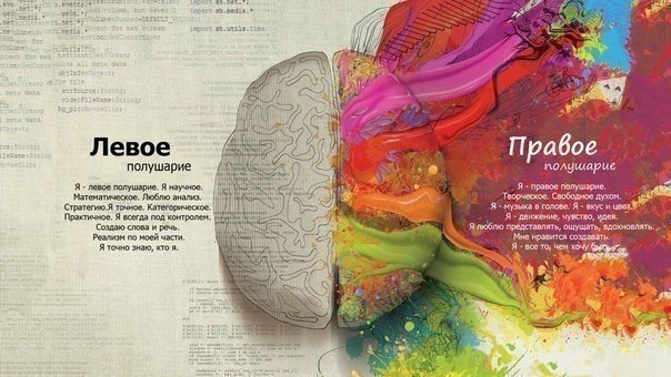 КАК РАЗВИВАТЬ ПОЛУШАРИЯ МОЗГА КАК РАЗВИВАТЬ ПОЛУШАРИЯ МОЗГА