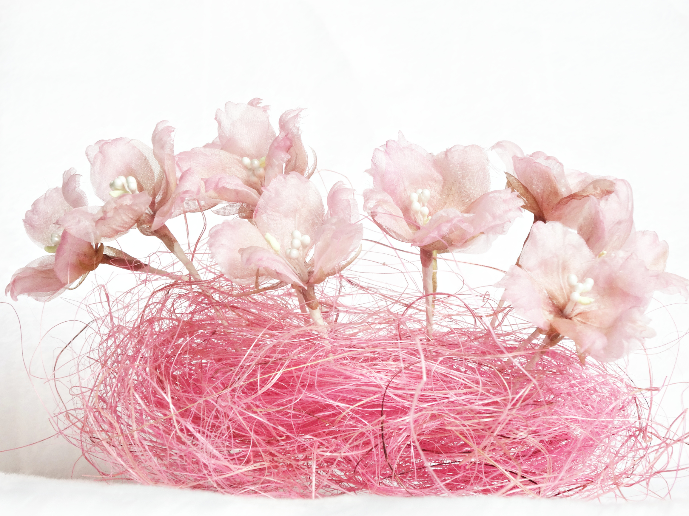 Сакура в цвету Поштучно!;) Сакура в цвету Поштучно!;)