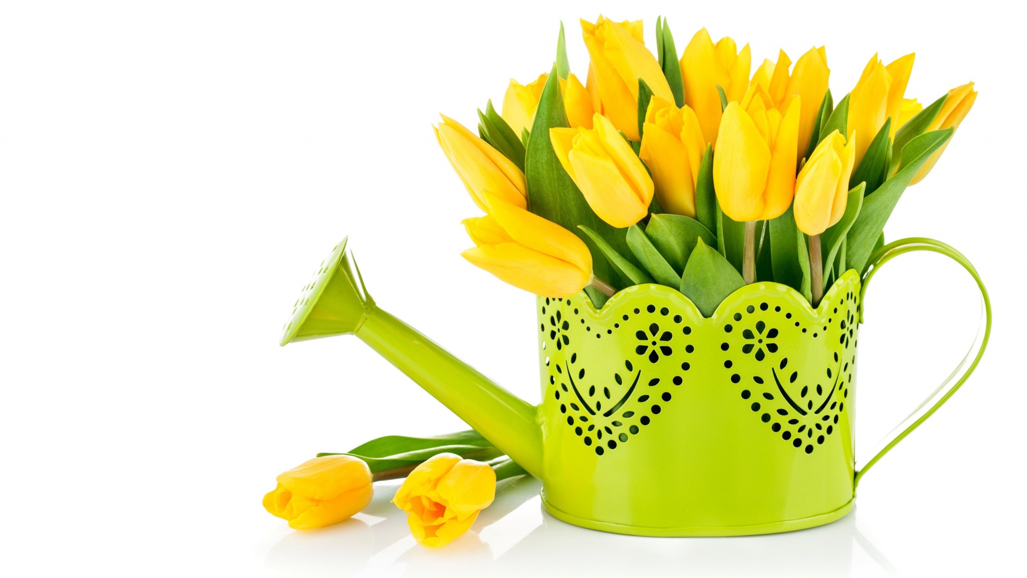 С ПРАЗДНИКОМ 8 МАРТА! С ПРАЗДНИКОМ 8 МАРТА!