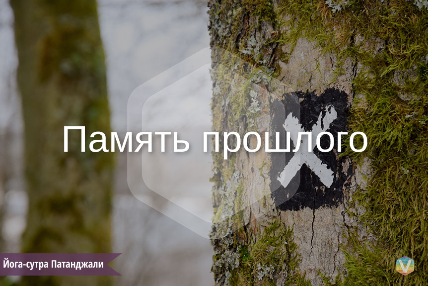 Мудрость древних книг. Память прошлого Мудрость древних книг. Память прошлого