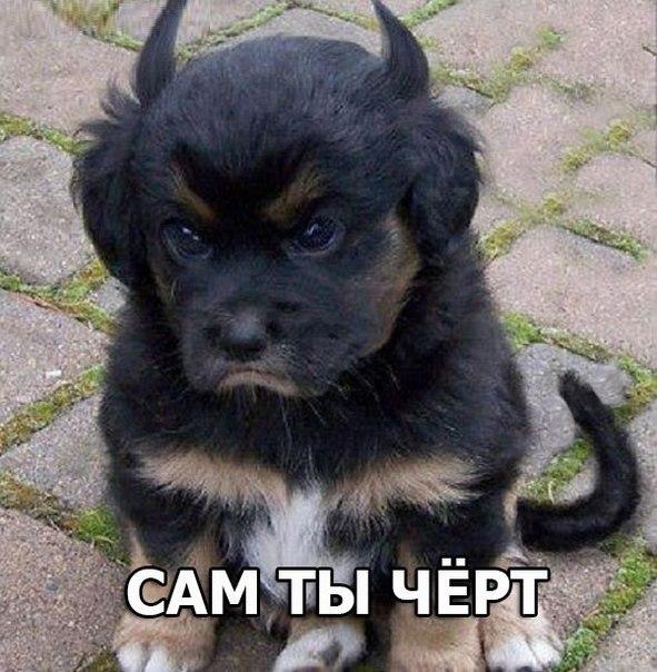 Удачный кадр Удачный кадр