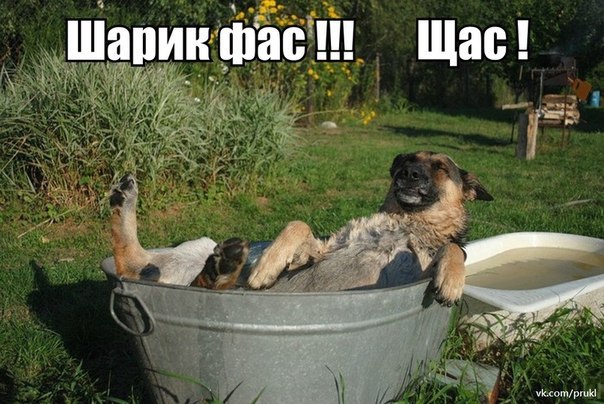 Удачный кадр Удачный кадр