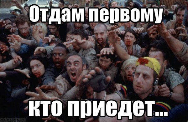 Вся суть халявы Вся суть халявы