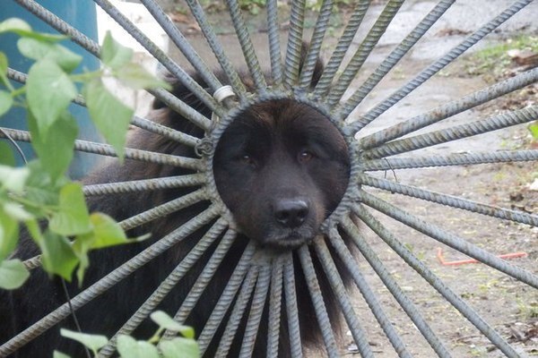 Солнышко Солнышко