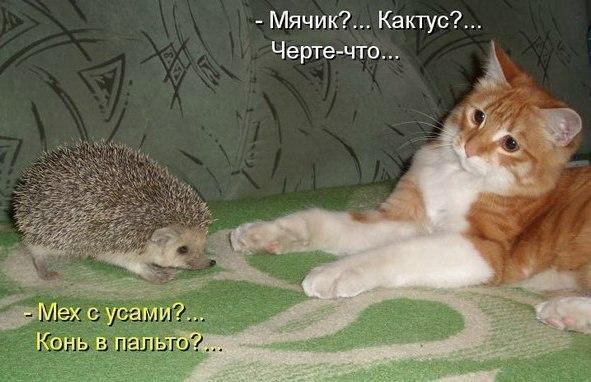 Удачный кадр Удачный кадр