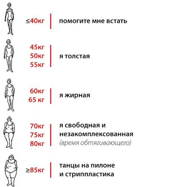 ВСЯ ПРАВДА О ЖЕНЩИНАХ ВСЯ ПРАВДА О ЖЕНЩИНАХ