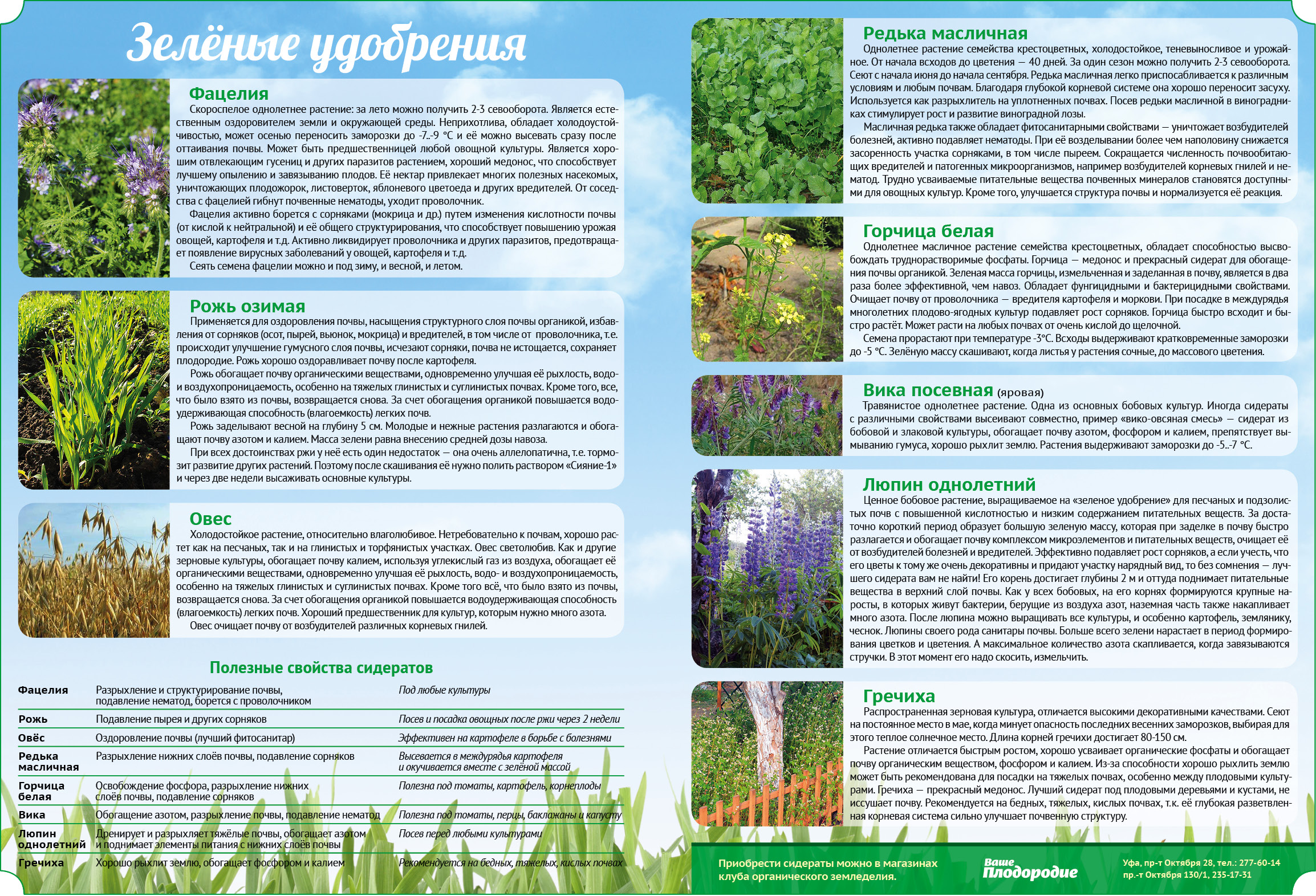 СИДЕРАНТЫ -- Дружелюбные Помощники СИДЕРАНТЫ -- Дружелюбные Помощники